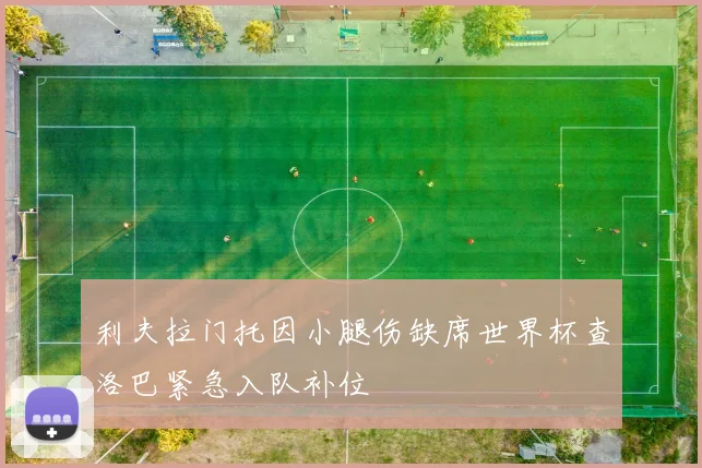 利夫拉门托因小腿伤缺席世界杯查洛巴紧急入队补位